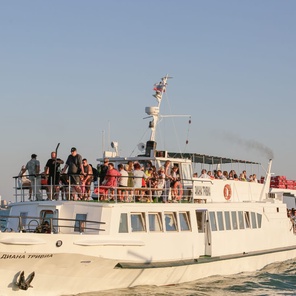 В 11:00 На встречу с дельфинами